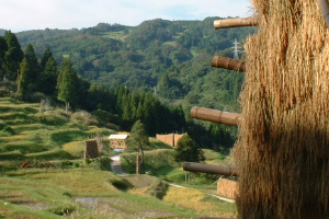 J-turn-rural-japan-300x200