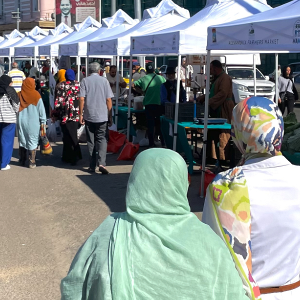 New Farmers Market in Alexandria, Egypt