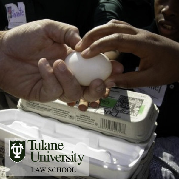 HERO-Tulane-egg-600x600.jpg